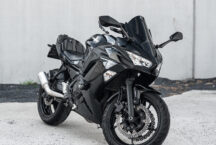 Kawasaki Ninja 29
